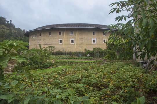 河坑春贵楼田园风情