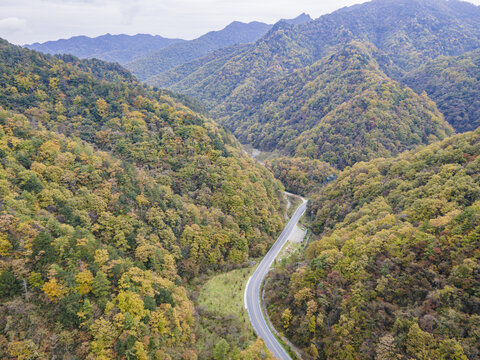 湖北神农架秋天公路