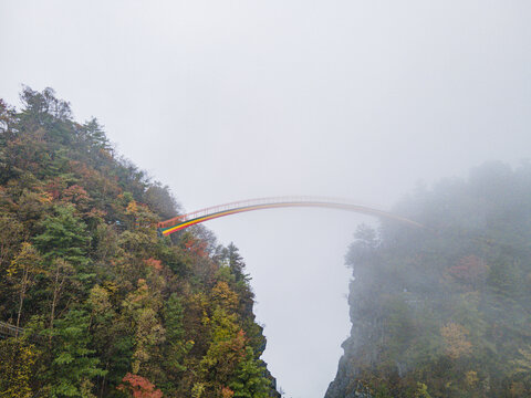 湖北神农架秋天公路