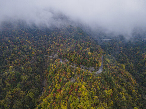 湖北神农架秋天公路