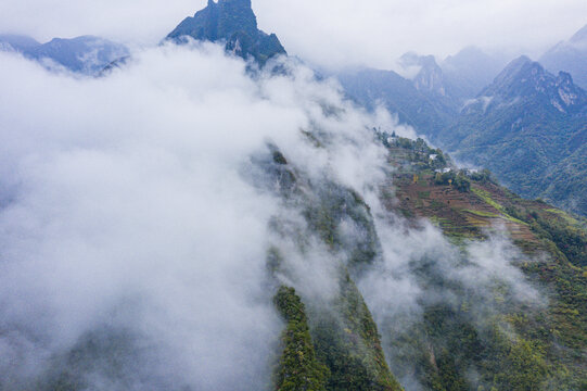 高山森林云雾