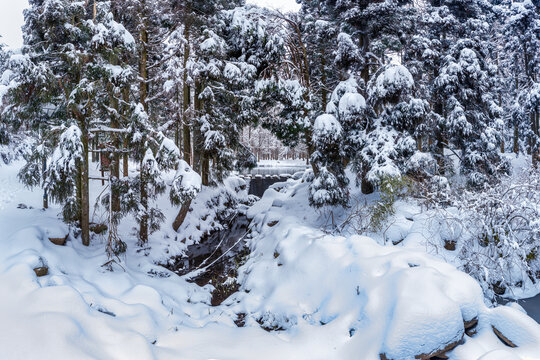 金华山小西湖林区雪景风光