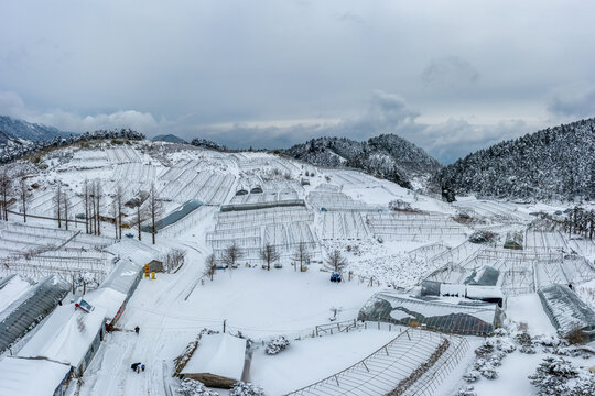 金华盘前村高山蔬菜基地雪景