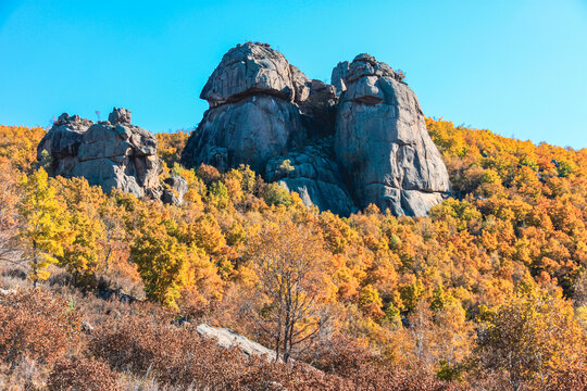 秋季森林高山山峰