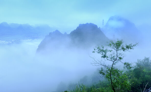 雾浴青山