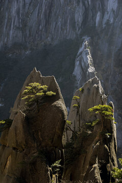 黄山风景