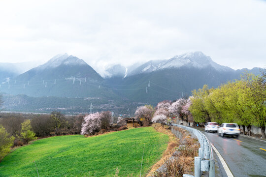 美丽乡村