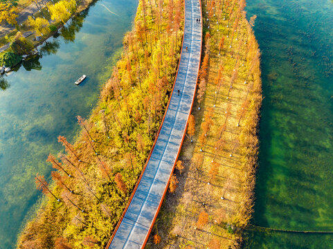 秋天湖心绿道林间步道