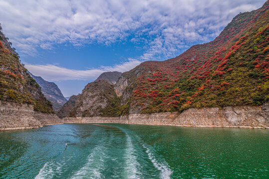 长江三峡巫峡红叶季