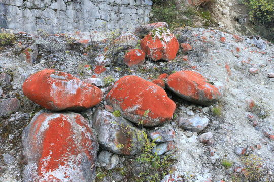 稻城亚丁红色石头