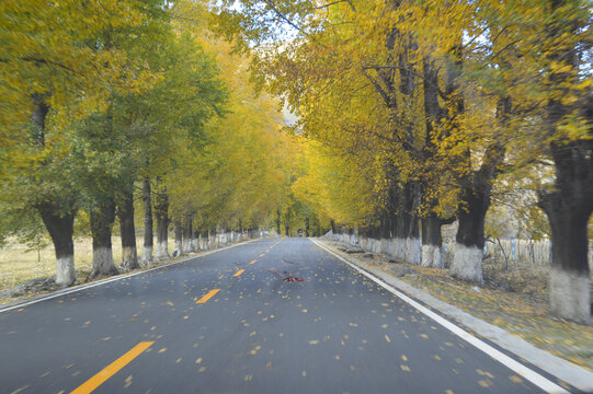 稻城亚丁的公路