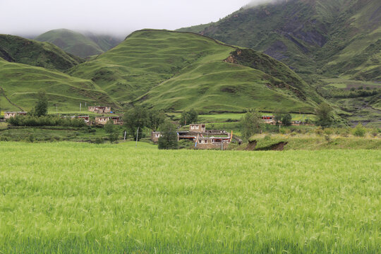 稻城小村