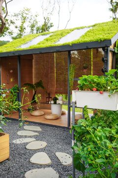绿色创意中式庭院