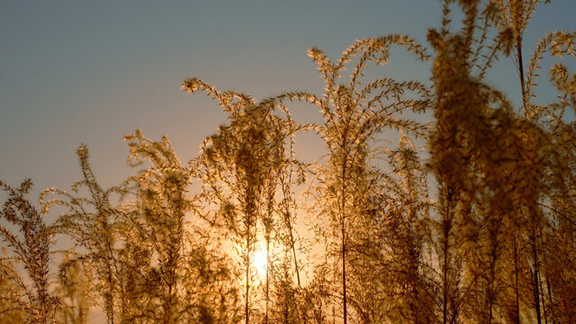 唯美夕阳空境