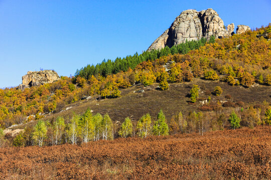 秋季森林山顶岩石巨石