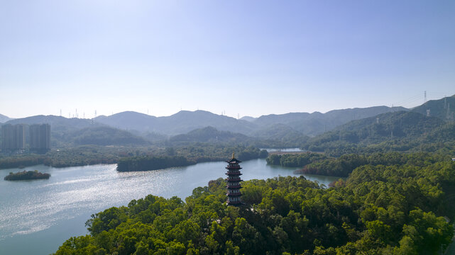 深圳坪山大山陂水库泰和塔