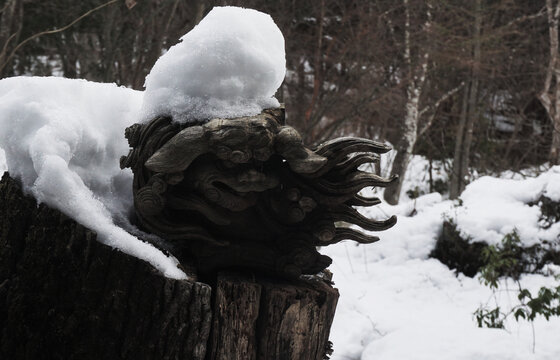 雪地里的艺术品