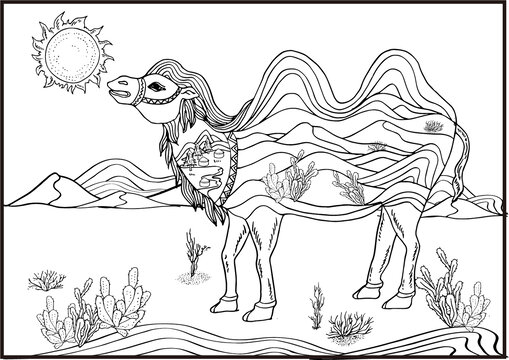 骆驼黑白插画