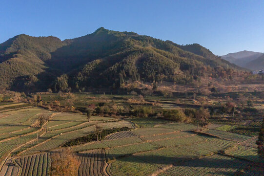 皖南山区田园田野秋景