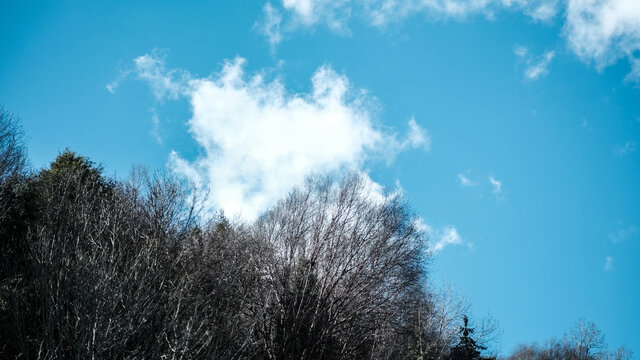 四川理县孟屯河谷高桥沟雪山