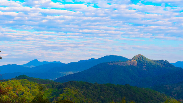 阳光山峰山林植被