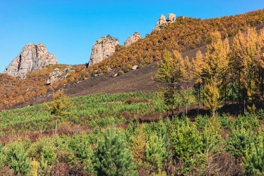 秋季森林山坡