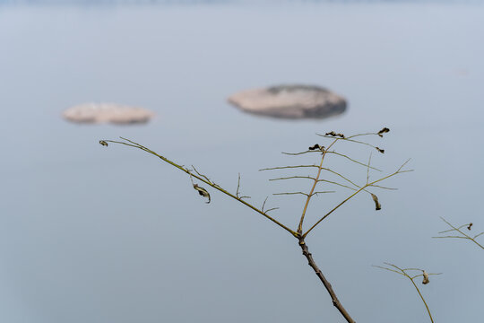 渠江小景