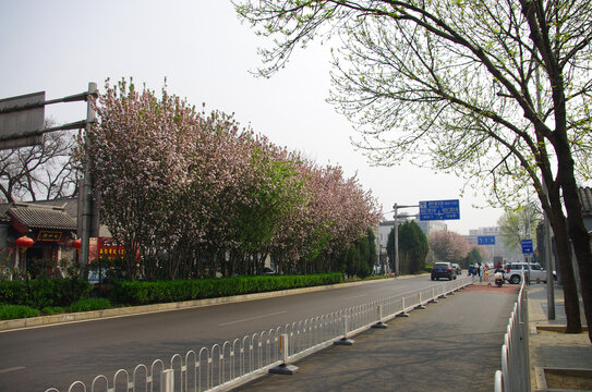 北京的街道