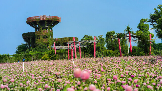 芒洲湿地公园