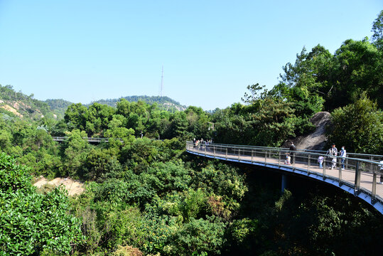 珠海景山道