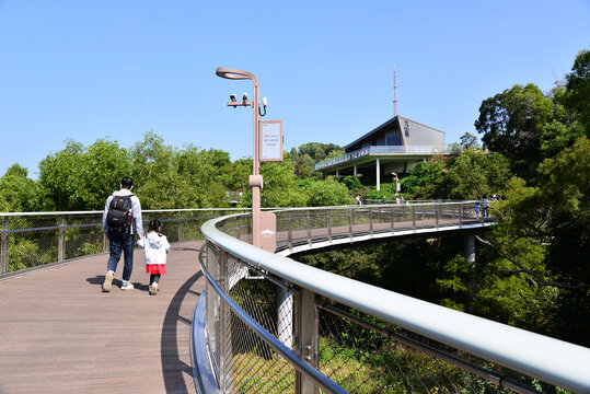 珠海景山道