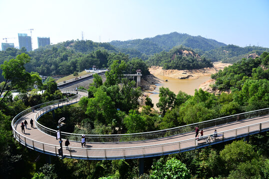 珠海景山道