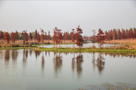 青西郊野公园