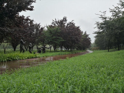 雨后清新河畔小路