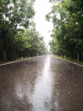 河畔小路雨滴如花