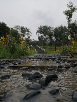 雨中河畔小路水如流