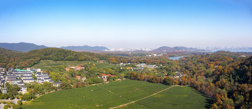 杭州西湖龙井路秋色航拍