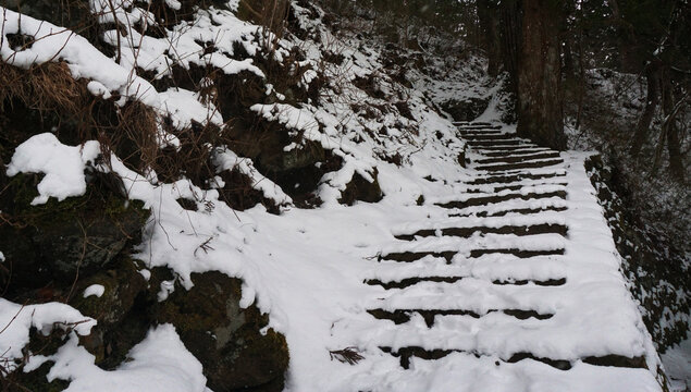 上山的路