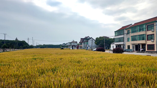 上海新农村丰收季