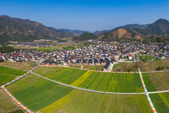 桐庐乡村春季油菜花海风光