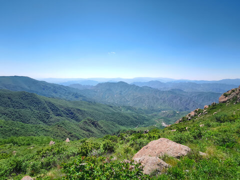 夏日里凉爽的山顶森林