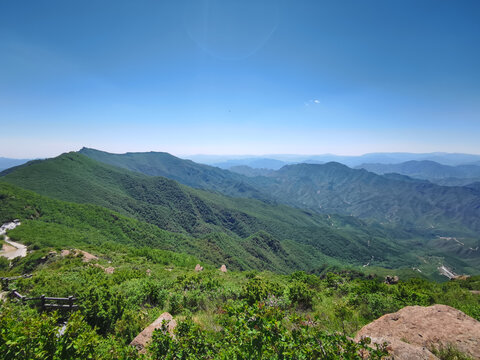 夏日里凉爽的山顶森林