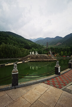 夏日里凉爽的山顶森林