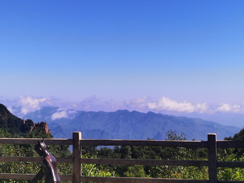 夏日里凉爽的山顶森林