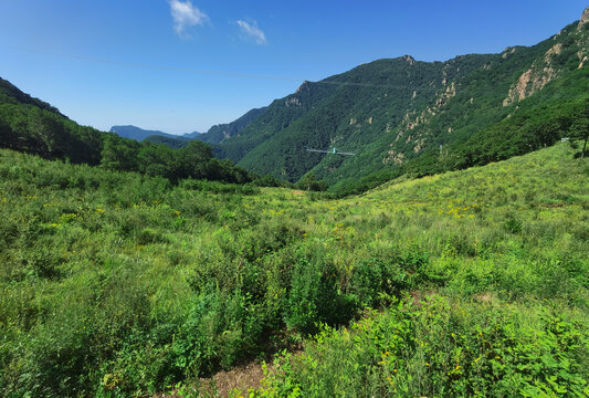 夏日里凉爽的山顶森林