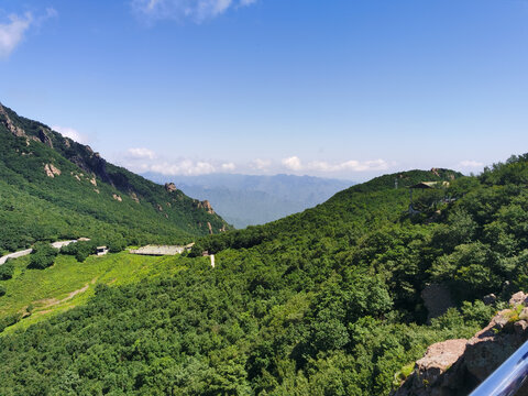 夏日里凉爽的山顶森林