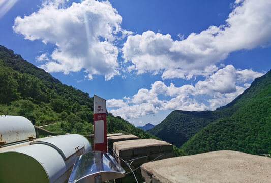 夏日里凉爽的山顶森林