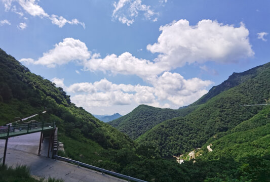 夏日里凉爽的山顶森林