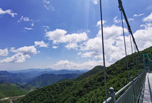 夏日里凉爽的山顶森林