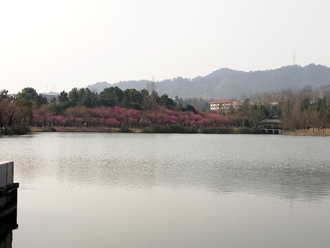 风景